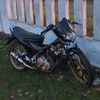 piong781