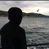 _elis155