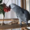 tamaratamara9710