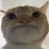 nnhp103