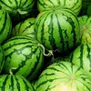 wassermeloneboss