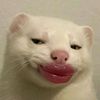fnssnty