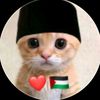 nadhiffayed