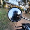 gu.feam8