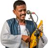 زول نصراوي