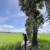 kaungsatthlam