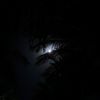 abu_talal52
