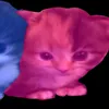 truskawka_official_