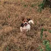 acd720