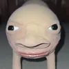 benwfr
