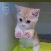 userzfo36h1y5n