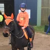 horseyeve19