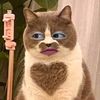 hyyyyyyyy_16