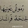 userno459