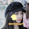 iamadoggo4