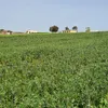 negociosagricultu