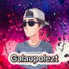 galaupolezt8