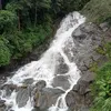 thng.nguyn8922