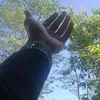 leo_.z1