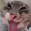 tuxha07