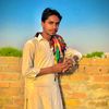 zahid91zahid91