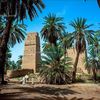 ahmadsaad322
