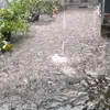 njepung