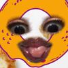 cmjjsm