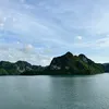 canhvebocongan