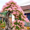 mo.hoang83