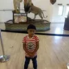 drieqt_