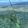 ajmt231