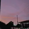 cupapiponyenyobuy
