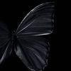 be0uty1._