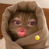 din_nn22