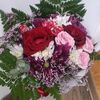 zabedjaved