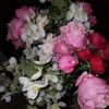 sevinc_863