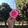 nef4as00