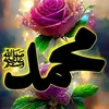 user5128803187108