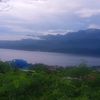 roymuay