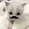 miffyyahh