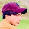 qaidynumber804