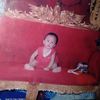 shliaaa_
