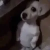 thatrataocungkquantamlam