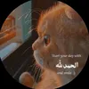 roo6_ss6