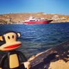fzsymi