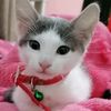nour.nour1022