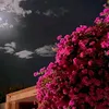 rtaj___14