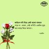 xy_bashar_vai