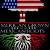 mexicanamerican931